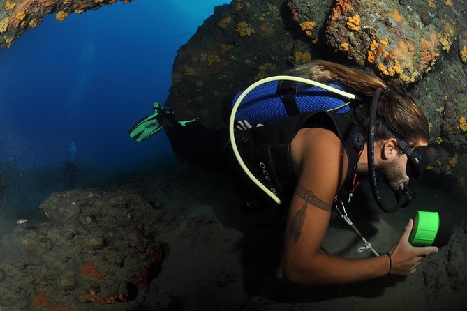 Crete Introductory Scuba Diving Experience - Instructor Expertise and Support