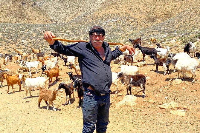 Crete: Jeep Safari, Mountains, Goat-Keeping & Cheese Making - Discovering Goat Herding and Cheese Making