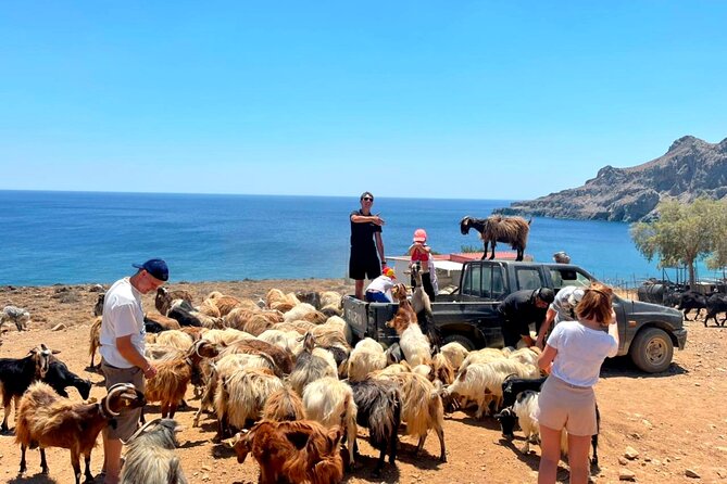 Crete: Jeep Safari, Mountains, Goat-Keeping & Cheese Making - Participant Requirements and Accessibility