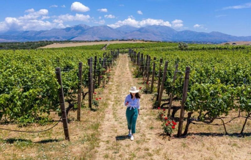 Crete: Knossos Palace and Archanes With Wine Tasting Tour - Transportation and Guides