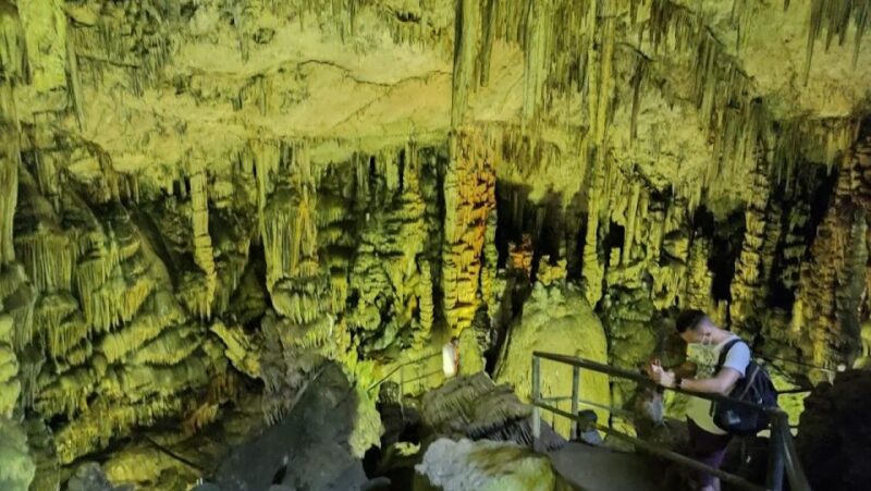 Crete: Knossos, Zeus Cave, Traditional Village, Olive Farm - Olive Farm