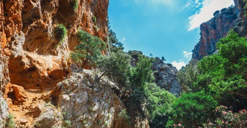 Crete: Kritsa Gorge Hike With Picnic & Swim Stop - Hiking Details