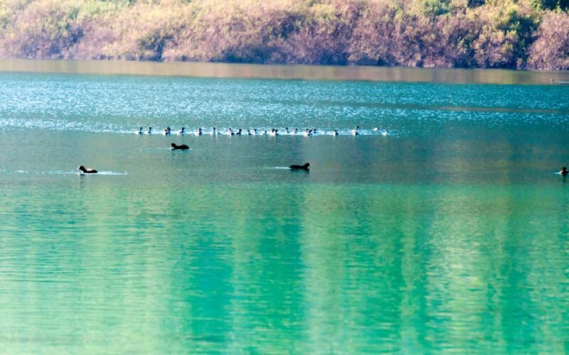 Crete: Lake Kournas, Argyroupolis, and Georgioupolis Trip - Itinerary Details