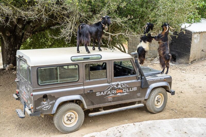 Crete: Land Rover Safari on Minoan Route - Cretan-Style Breakfast and Raki Tasting