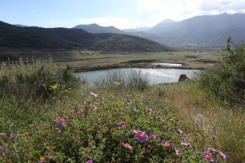 Crete: Land Rover Safari on Minoan Route - Traditional Cheese-Making Demonstration