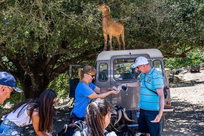 Crete: Land Rover Safari on Minoan Route - Lunch at Local Taverna