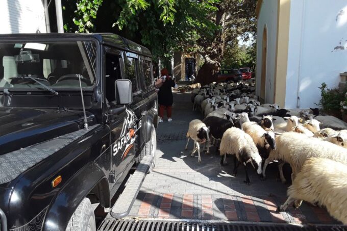 Crete: Land Rover Safari on Minoan Route - Frequently Asked Questions