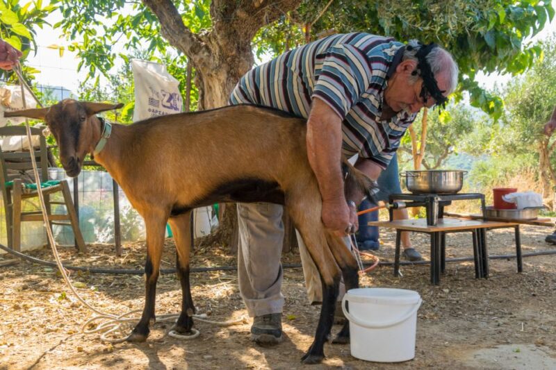 Crete: Lasithi Plateau and Cave of Zeus Off Road Safari Tour - Gorge of Empasa - Off-Road Adventure and Foraging