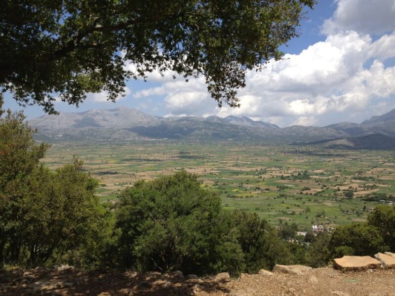 Crete: Lasithi Plateau and Knossos Palace Day Tour - Highlights of the Tour