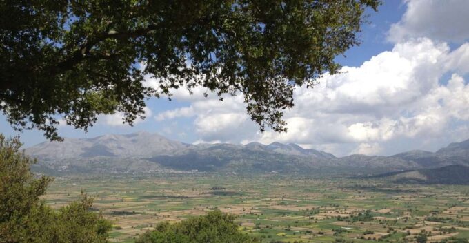 Crete: Lasithi Plateau and Knossos Palace Day Tour - Exploring the Dictaean Cave
