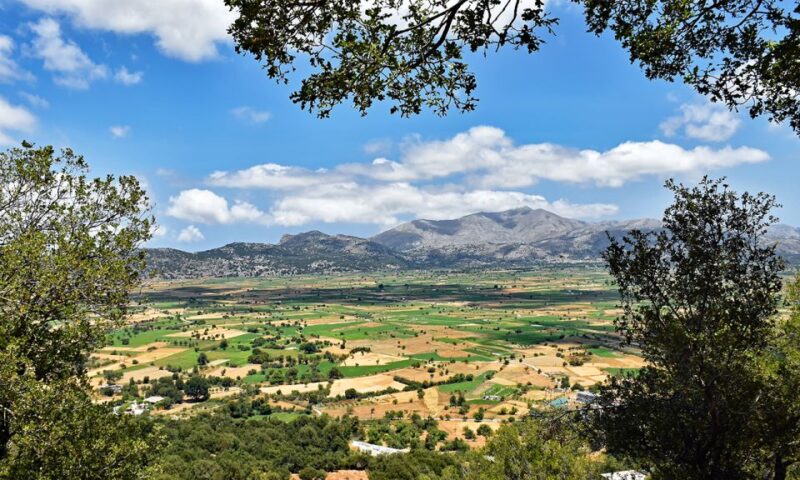 Crete: Lasithi Plateau, Zeus Cave, & Knossos Palace Day Trip - Important Information for Participants