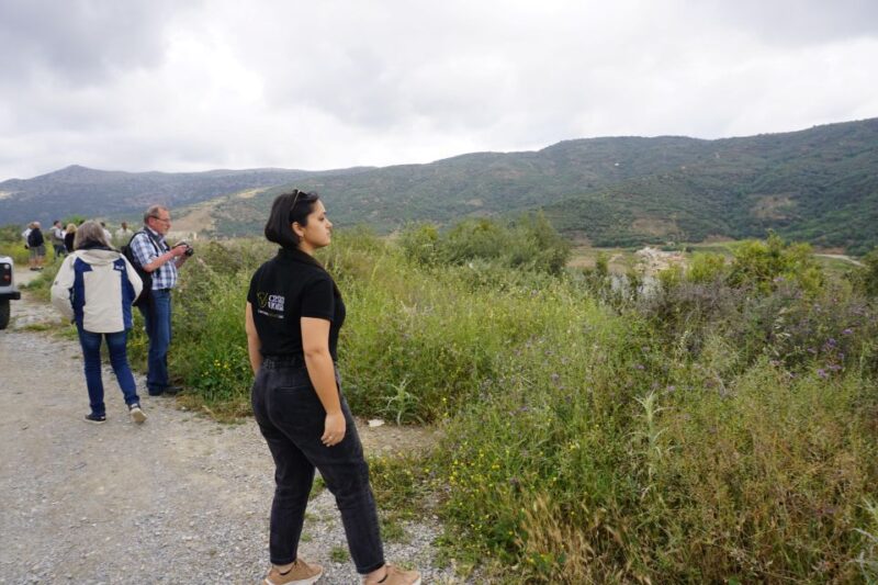 Crete: Lasithi Plateau, Zeus Cave & Villages Tour With Meal - Admiring the Plane Tree in Krasi
