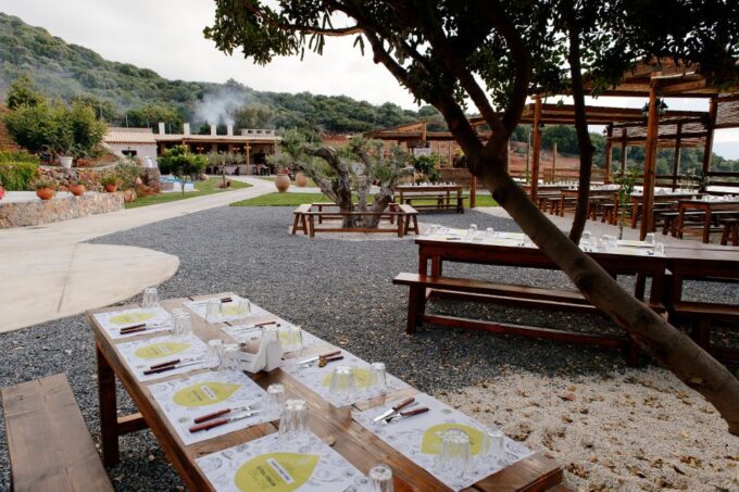 Crete: Lasithi, Zeus Cave, Krasi, & Olive Mill Farm Roadtrip - Visiting Vidiani Monastery
