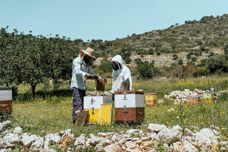 Crete: Melidoni Cave, Honey, Olive Oil & Reptisland - Culinary Delights