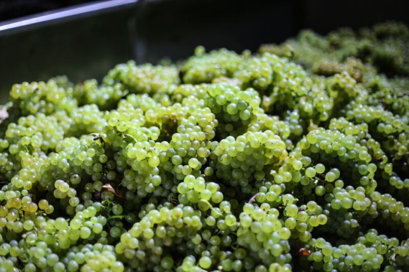 Crete: Olive, Wine, & Raki on a Flavorful Culinary Journey - Itinerary and Duration