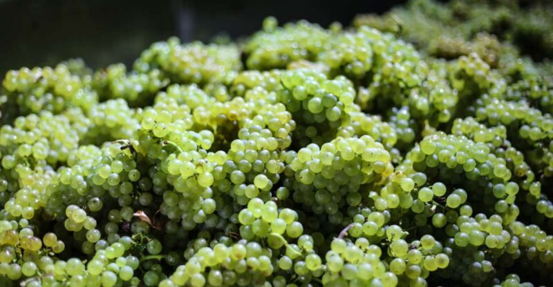 Crete: Olive, Wine, & Raki on a Flavorful Culinary Journey - Winery and Distillery Visit