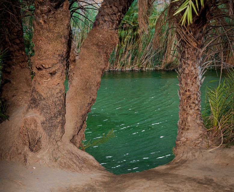 Crete: Preveli Tropical Beach and Palm Forest - Itinerary Details