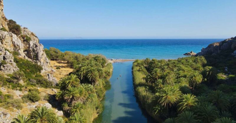 Crete: Preveli Tropical Beach and Palm Forest - Activity Highlights