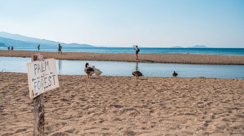 Crete: Preveli Tropical Beach and Palm Forest - Transportation