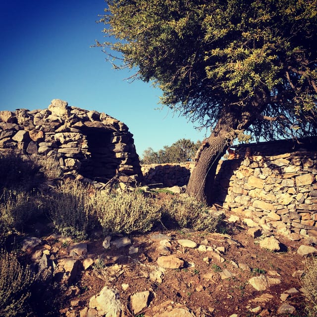 Crete: White Mountains Preserve Day Tour - Inclusions and Exclusions