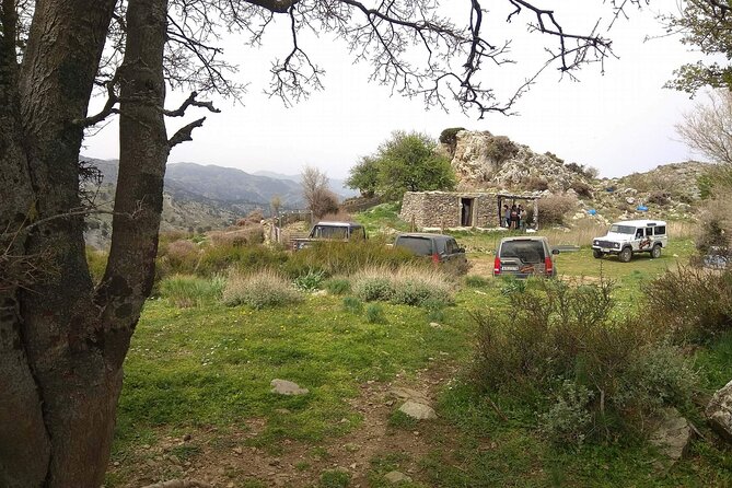 Crete White Mountains Safari Including Lunch - Guest Reviews and Booking