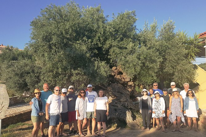 Crete Wine and Olive Oil Tour - Inclusions and Exclusions