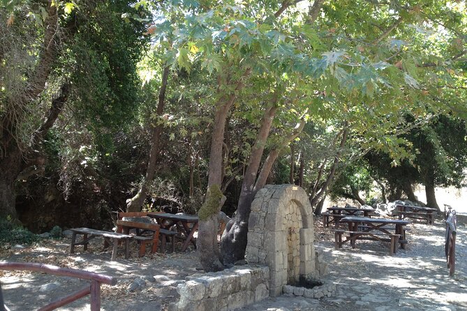 Cretes Wine and Olives Safari Tour From Chania - Vineyard Wine Tasting