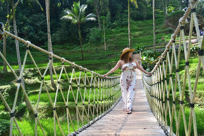 Cretya Tour and Swing - Booking and Cancellation Policy