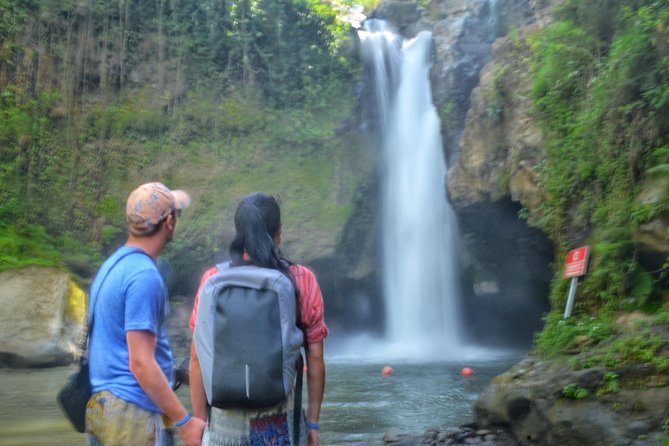 Cretya Ubud and Monkey Forest Sanctuary Tours - Key Points