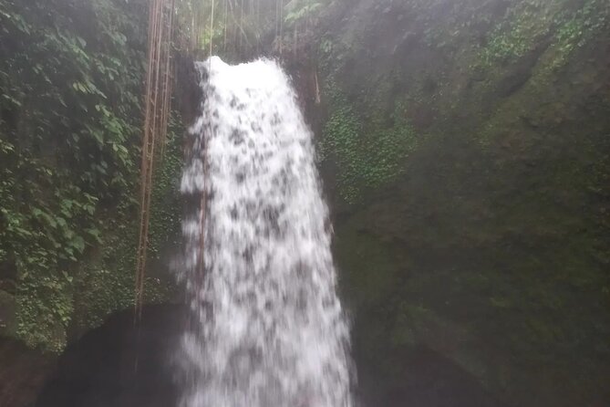 CRETYA Ubud Infinity Pool + Hidden Water Fall + Water Temple Tour - Attractions and Amenities