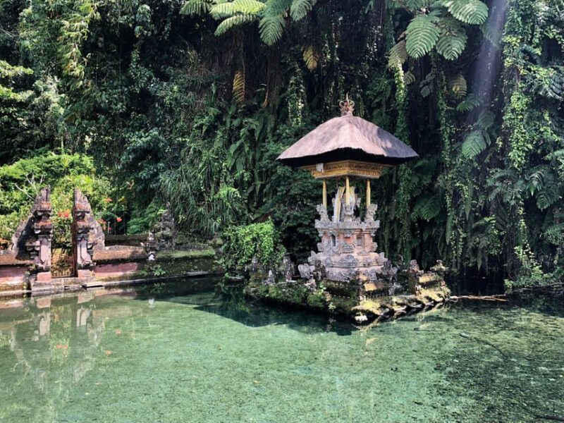 Cretya Ubud Infinity Pool,Hidden Waterfall, Temple &Lunch - Activities