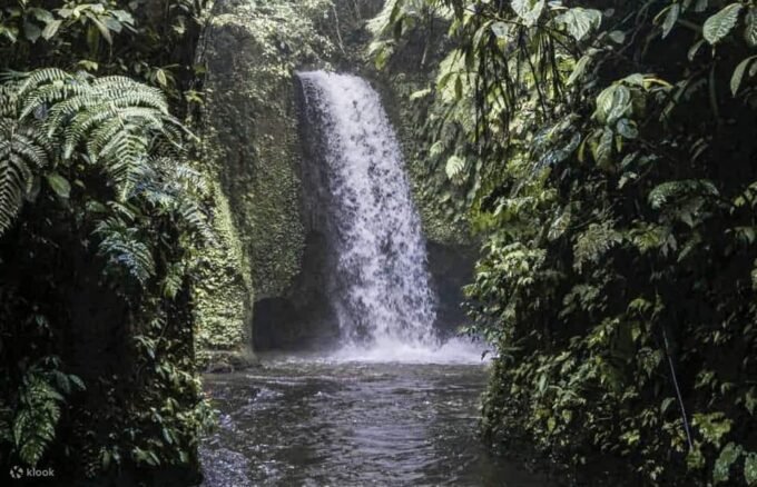 Cretya Ubud Infinity Pool,Hidden Waterfall, Temple &Lunch - Inclusions