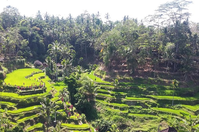 Cretya Ubud +Taman Dedari + Sari Timbul Glass Factory Tour. - Pickup Information