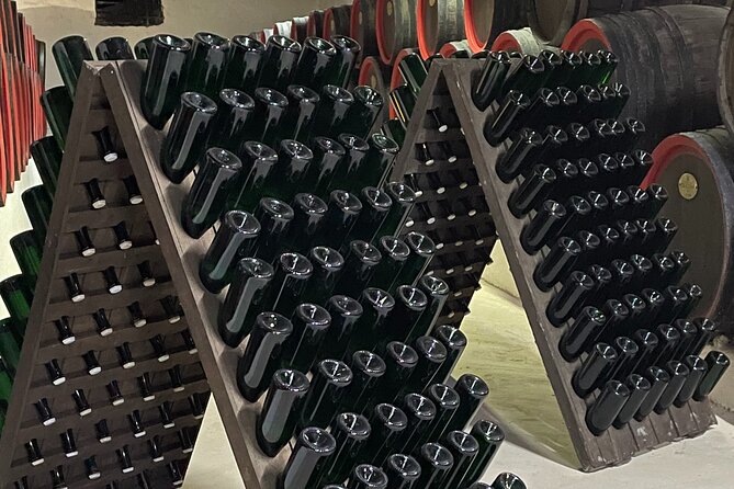 Cricova Cellars - Visit and Tasting Session - Tour Highlights