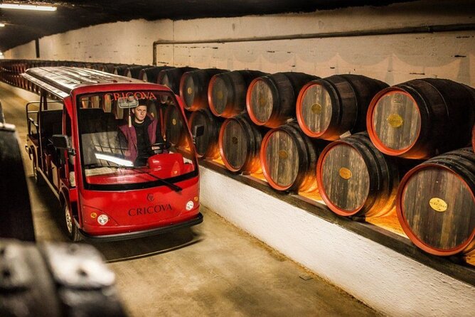 CRICOVA Winery Tour With Tasting From Chisinau - Quick Points