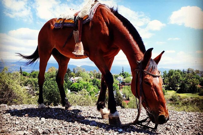 Criolla Horseback Riding - Transportation and Meeting Points
