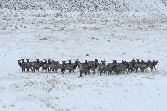 Cripple Creek Back Country Jeep Tour - Tour Participation Guidelines
