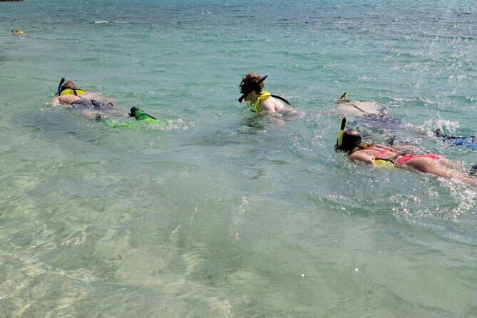 Cristal Speed boat, Snorkeling, Beach Tour & Lunch St Maarten - How Do Travelers Feel About the Tour?