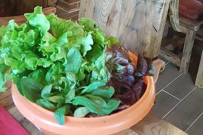 Croatia and Bosnia Authnetic Family Home Lunch Experince - Pricing and Cancellation