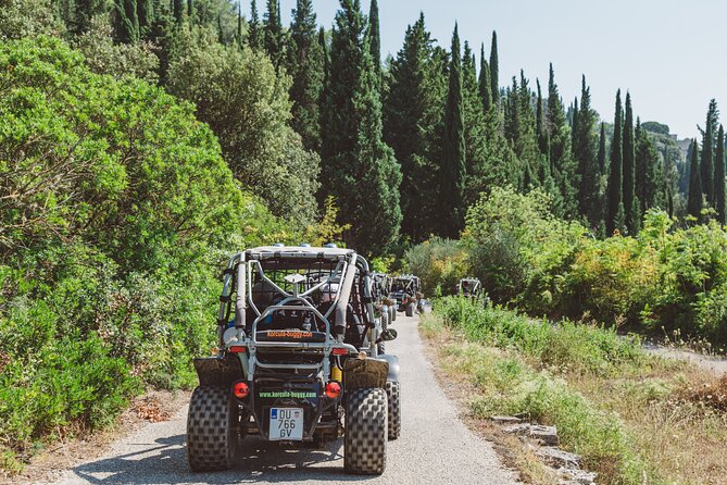Croatia Korcula Island Buggy Safari Tour - Itinerary and Activities