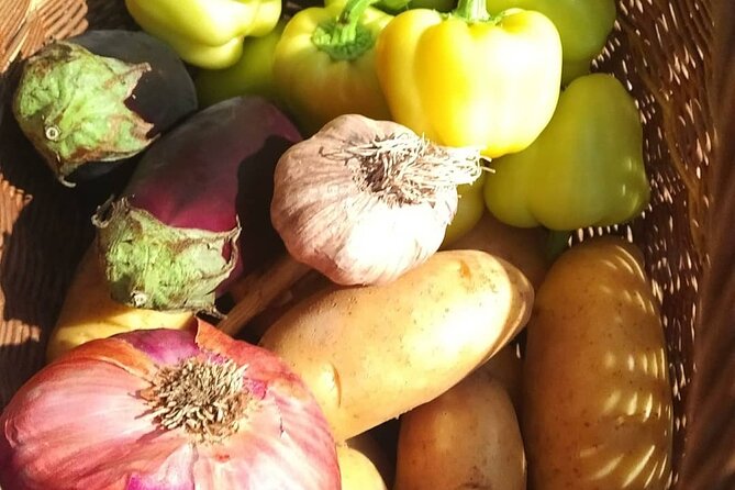 Croatian Traditional Cuisine: Peka Cooking Lesson - Participant Highlights