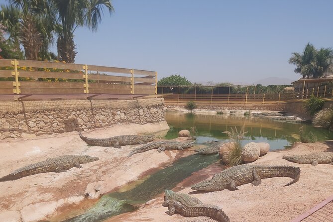 Crocodil Park Transport and Entrance Ticket Crocoparc Included - Booking Information