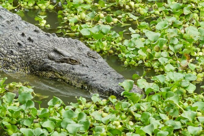 Crocodile Adventureland Langkawi Admission Ticket - Key Points