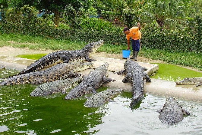 Crocodile Adventureland Langkawi Admission Ticket - Animal Encounters and Exhibits