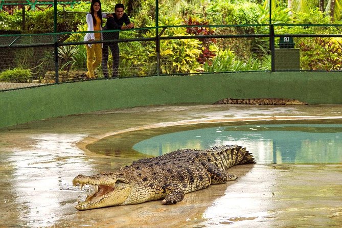 Crocodile Adventureland Langkawi Admission Ticket - Additional Attraction Experiences