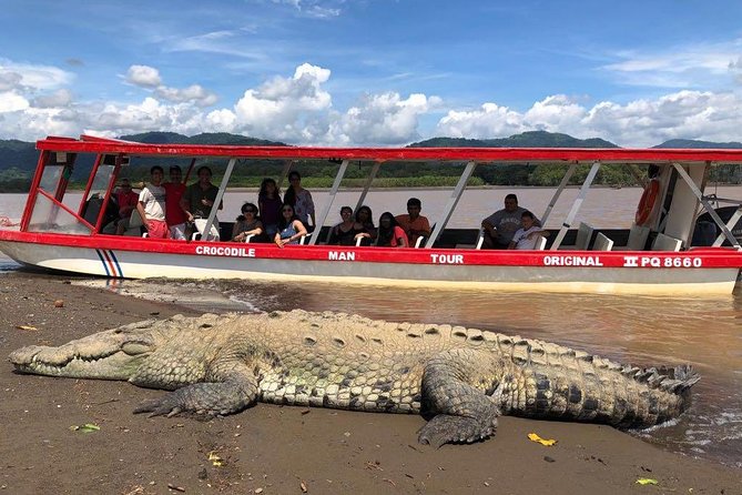 Crocodile Man Tour THE ORIGINAL - Intimate Group Experience