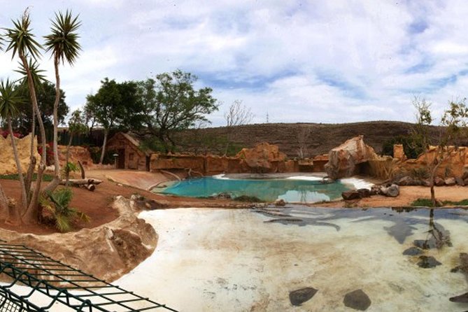 Crocodile Park Zoo Admission Ticket in Agüimes - Admission and Pricing
