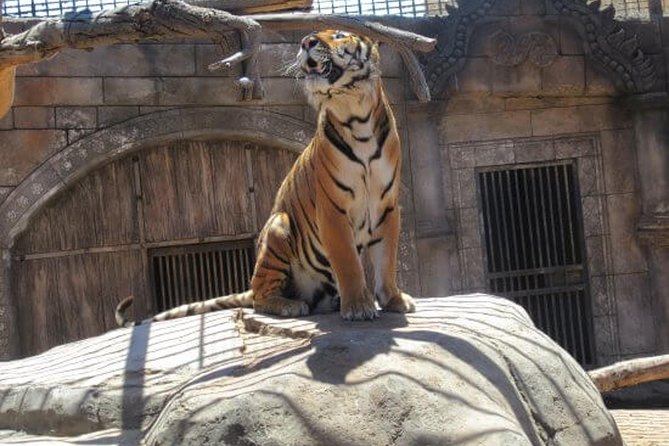 Crocodile Park Zoo Admission Ticket in Agüimes - Accessibility and Amenities