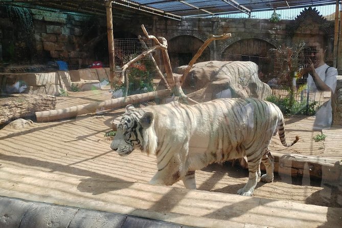 Crocodile Park Zoo Admission Ticket in Agüimes - Location and Directions