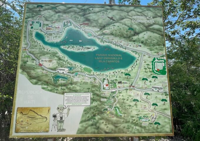 Crocodile Sighting in Lake Enrriquillo ALL INCLUSIVE - Experiencing Local Culture